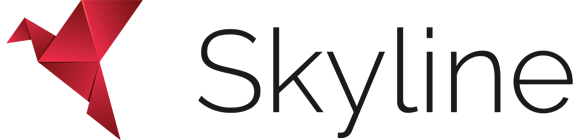 Skyline Flight Simulations